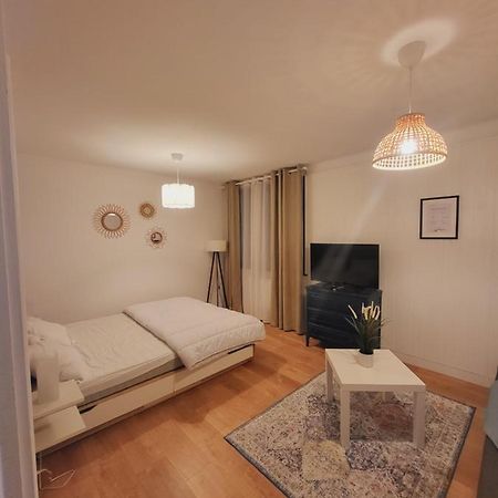 Appartement T1 Bis 35M2 Annecy Proche Centre Ville Eksteriør billede