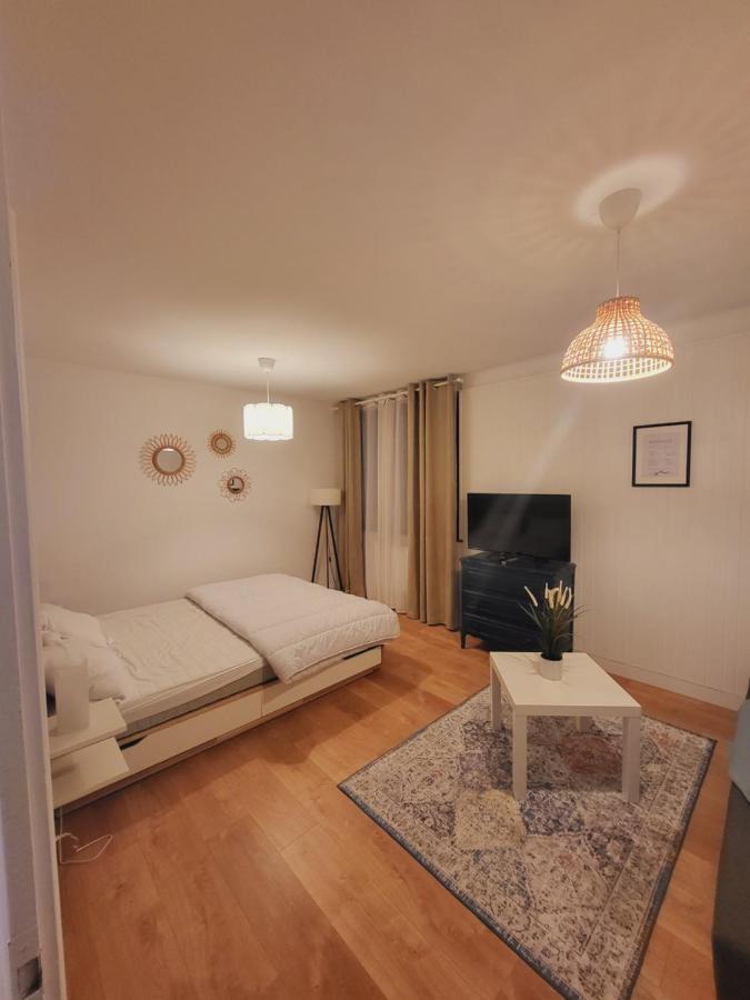 Appartement T1 Bis 35M2 Annecy Proche Centre Ville Eksteriør billede